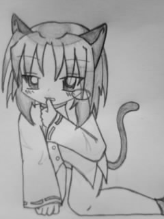 08/02/24 cat