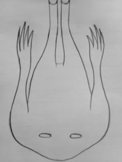 08/06/10 shadow_2