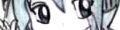 �T�E���h